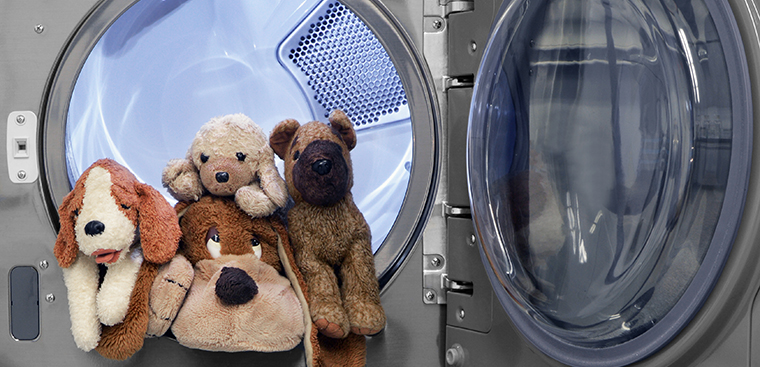 Bạn nên cân gấu trước khi giặt để xác định được lúc nào gấu khô hoàn toàn.